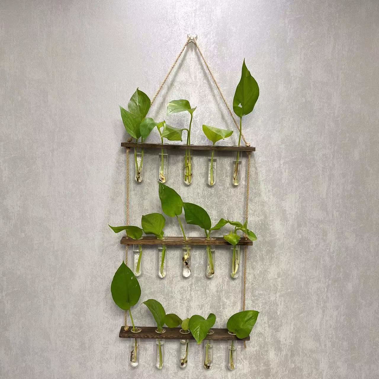 Three-Layer Borosilicate Glass and Wood Plant Organizer