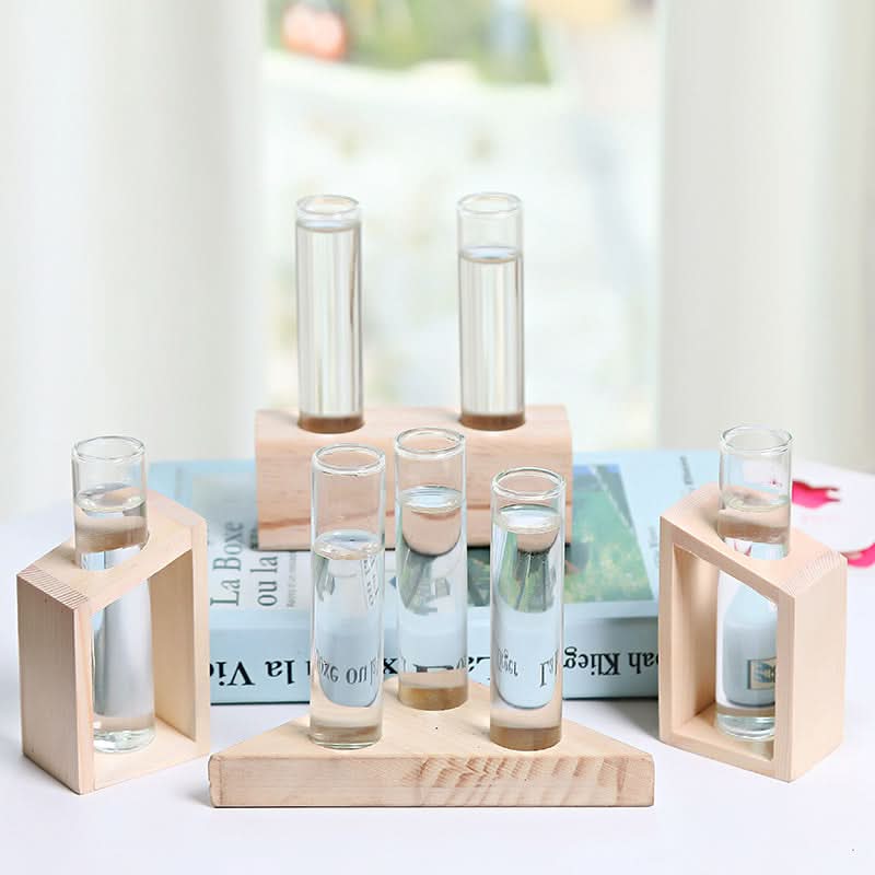 Vase hydroponique en verre – Petit vase d'intérieur élégant et fonctionnel pour plantes