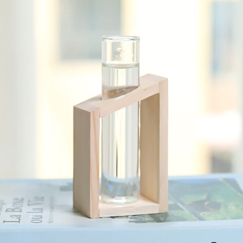 Vase hydroponique en verre – Petit vase d'intérieur élégant et fonctionnel pour plantes