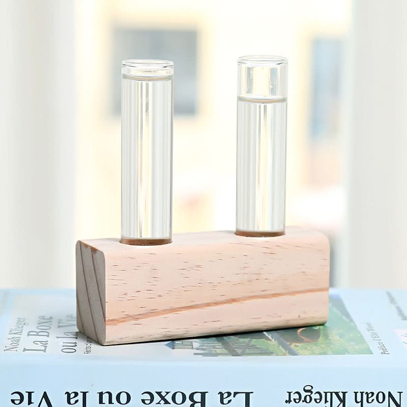 Vase hydroponique en verre – Petit vase d'intérieur élégant et fonctionnel pour plantes