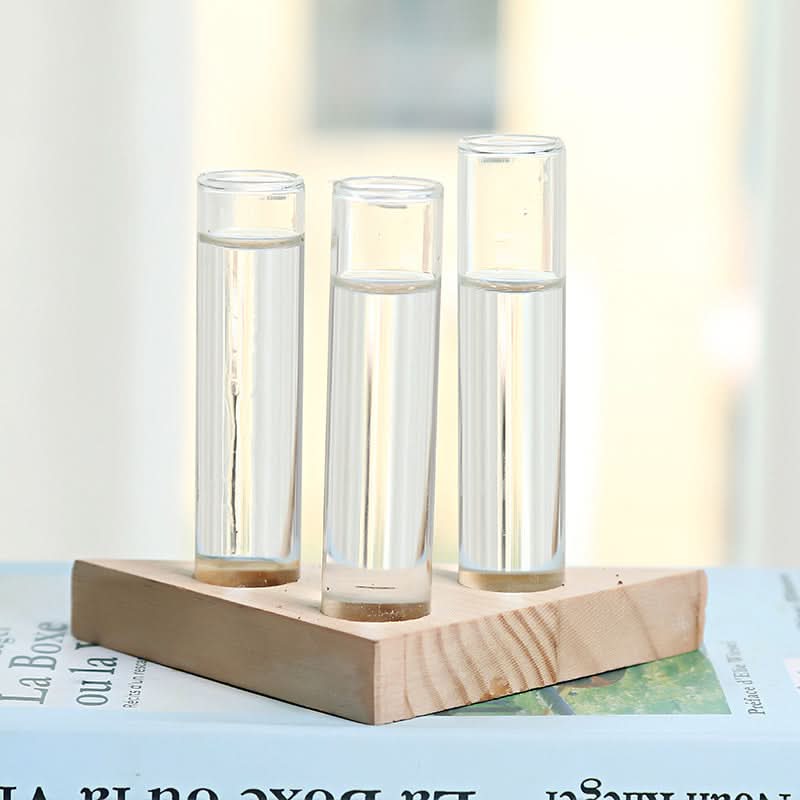 Vase hydroponique en verre – Petit vase d'intérieur élégant et fonctionnel pour plantes
