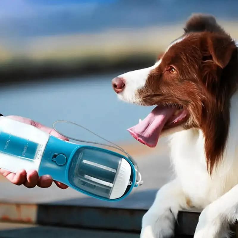 Gobelet pour chien, sac à croquettes et sac poubelle : trois-en-un, portable et multifonctionnel, pour animaux de compagnie. Accessoires pour animaux.