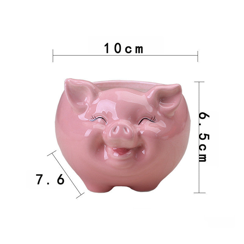 Ceramic animal succulent flower pot, front view