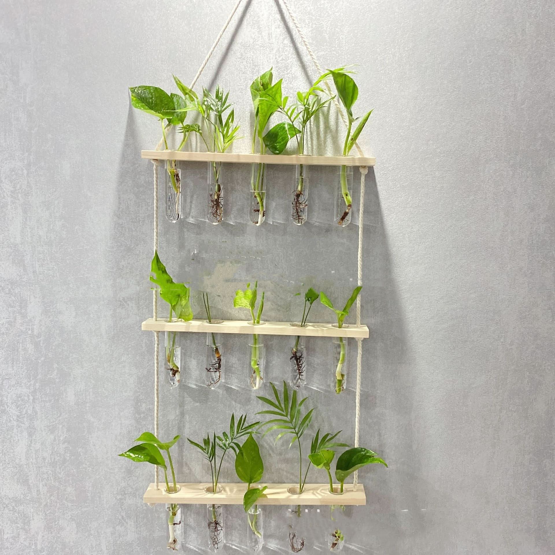 Three-Layer Borosilicate Glass and Wood Plant Organizer