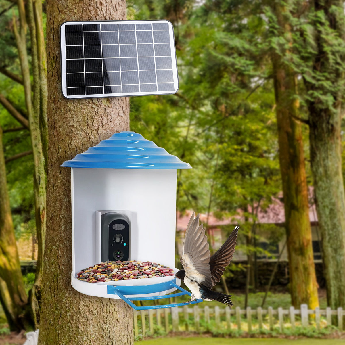 Bird feeder camera mounted on a tree with its solar panel above, a bird landing on the tray