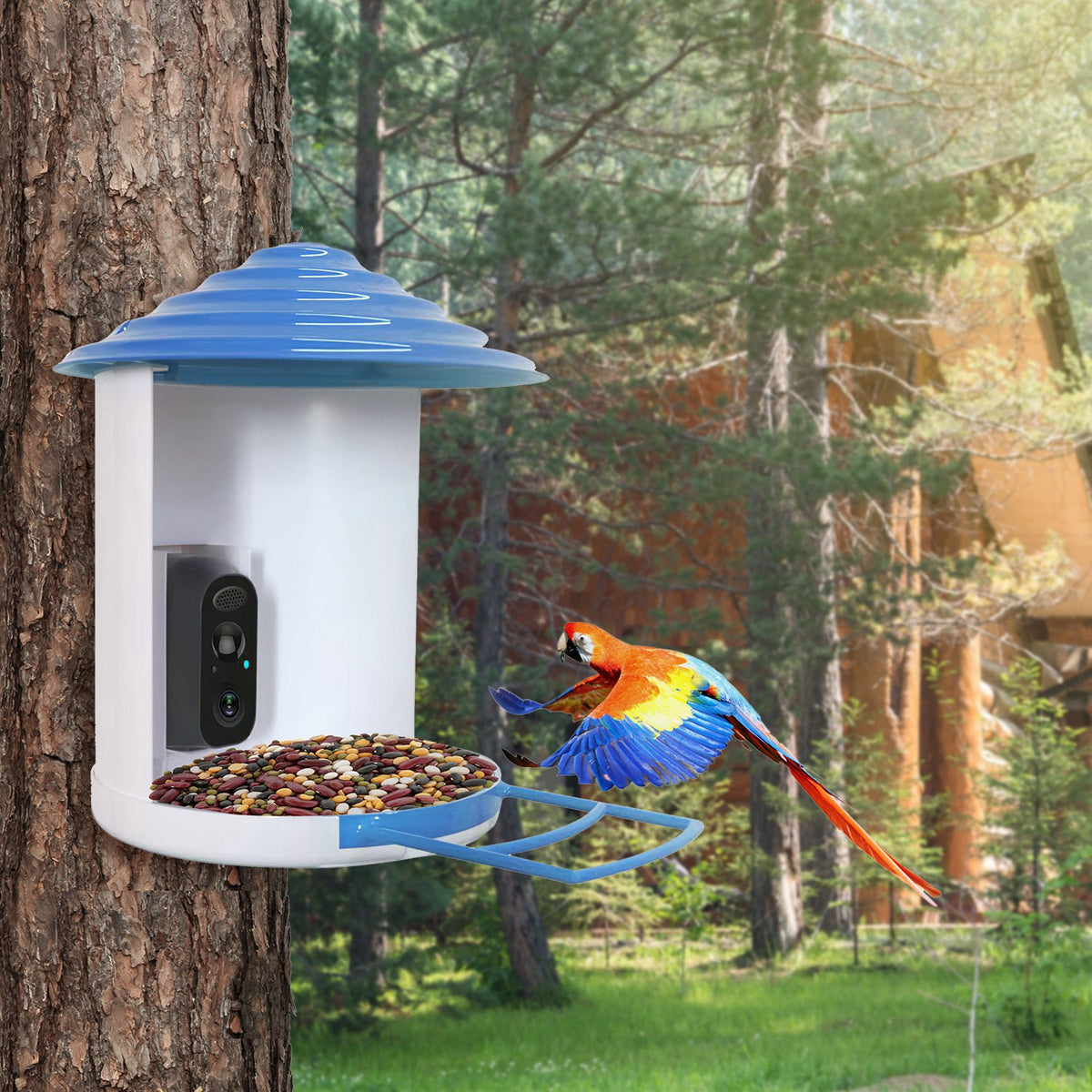 Bird feeder camera on a tree trunk in a garden with a parrot at the seed tray