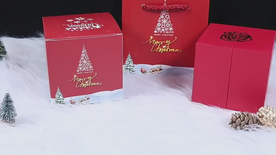 Load video: 1
