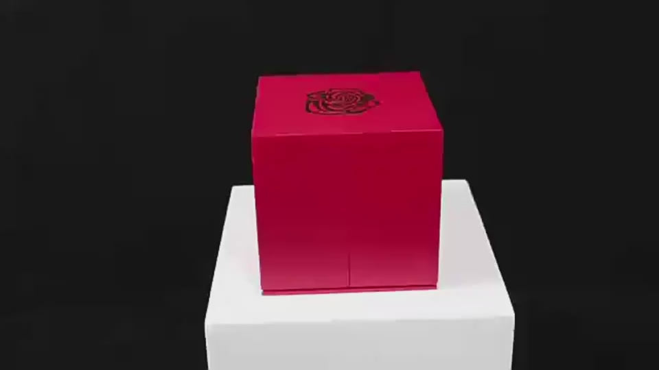 Load video: 1